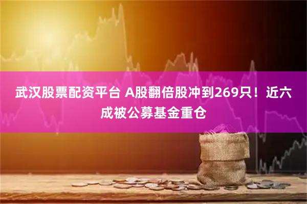 武汉股票配资平台 A股翻倍股冲到269只！近六成被公募基金重仓